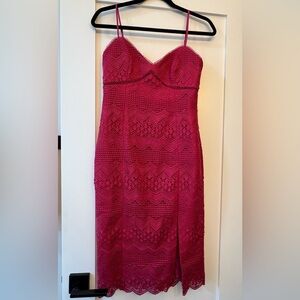 Ever New Raspberry Lace Midi Dress
